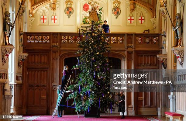 Members of the Royal Collection Trust make finishing touches to a 20-foot-high Nordmann Fir Christmas tree in St George's Hall, which was felled from...