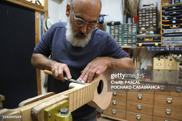 Curiscan Instrument 257 Pigna Stock Photos, High-Res Pictures, and Images - Getty Images