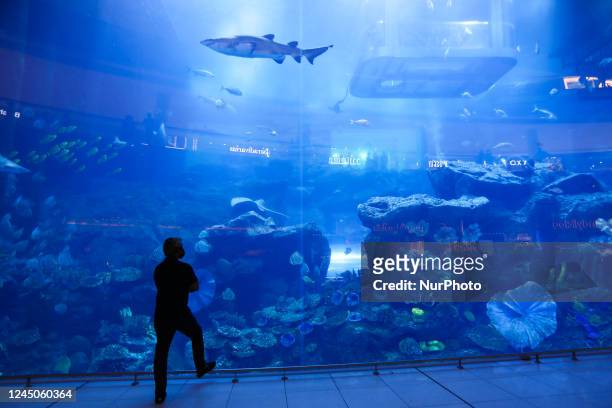 Person is seen near the Dubai Aquarium at the Dubai Mall in Dubai, United Arab Emirates on November 21, 2022.