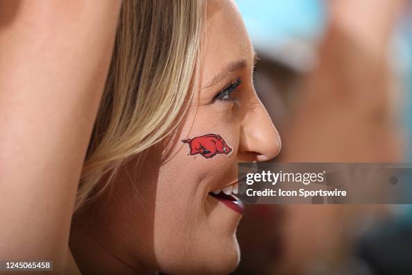 Arkansas Razorbacks Cheer Arkansas Razorbacks cheerleader performs a cheer in a game against ...