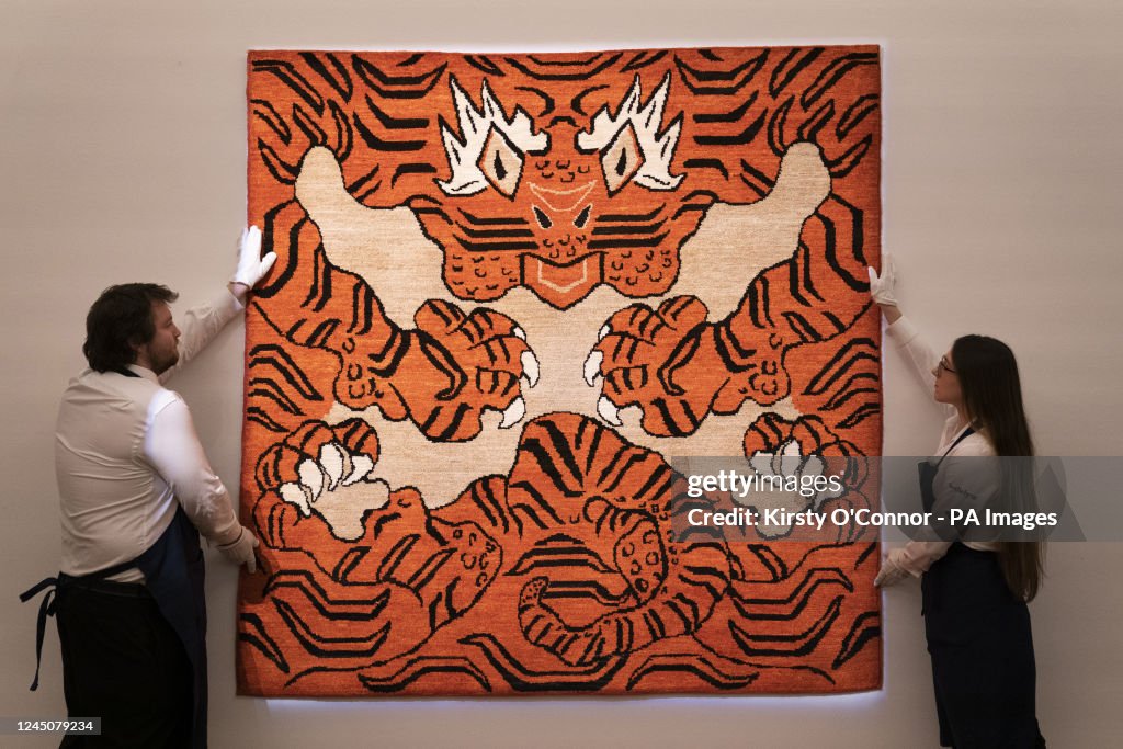 Tomorrow's Tigers exhibition