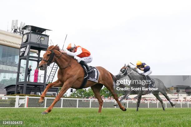 Vow And Declare ridden by John Allen wins the Herald Sun Zipping Classic at Caulfield Racecourse on November 26, 2022 in Melbourne, Australia.