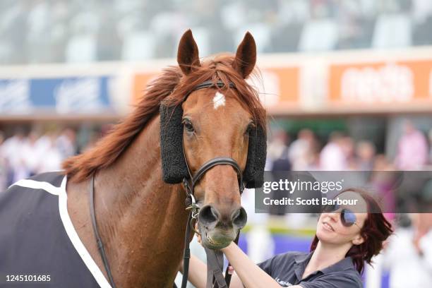 Vow And Declare after winning the Herald Sun Zipping Classic at Caulfield Racecourse on November 26, 2022 in Melbourne, Australia.