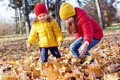 Children two cute tollder girls sisters play with yellow leaves on a sunny warm day in autumn kids throw leaves young friends have fun and are active in fall outdoors concept