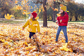 Children two cute tollder girls sisters play with yellow leaves on a sunny warm day in autumn kids throw leaves young friends have fun and are active in fall outdoors concept