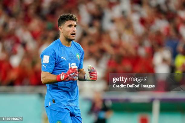 Goalkeeper Munir El Kajoui of Morocco celebrates the goal by his teammate Zakaria Aboukhlal of Morocco during the FIFA World Cup Qatar 2022 Group F...