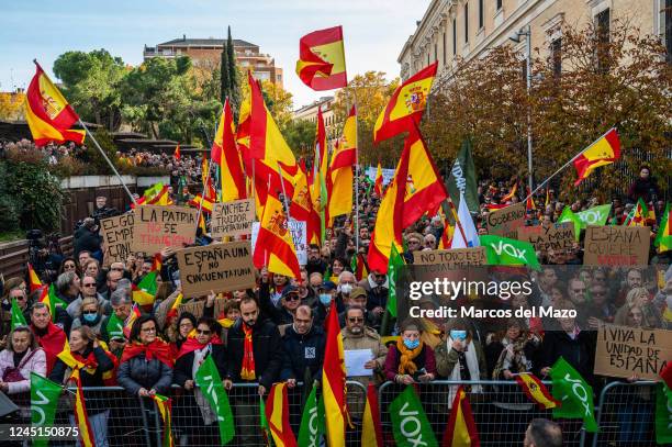 Supporters of far right wing party VOX waving Spanish flags and carrying placards during a protest organized by VOX party for the repeal of the crime...