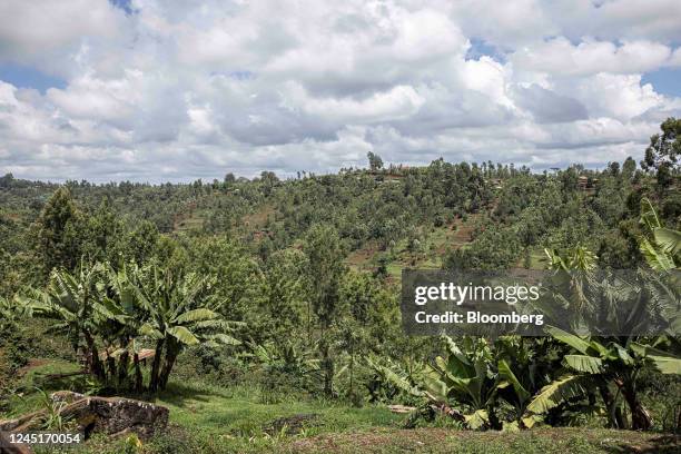 Agricultural land in Kiambu County, Kenya, on Friday, Nov. 25, 2022. Agriculture, Kenyas biggest economic sector and employer, contracted for a third...