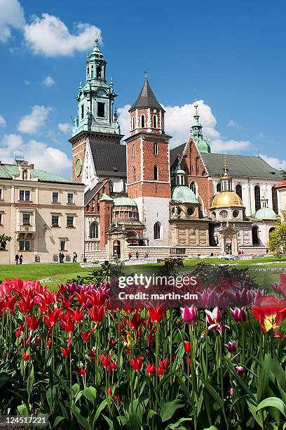 wawel castle in krakow - wawel cathedral stock pictures, royalty-free photos & images