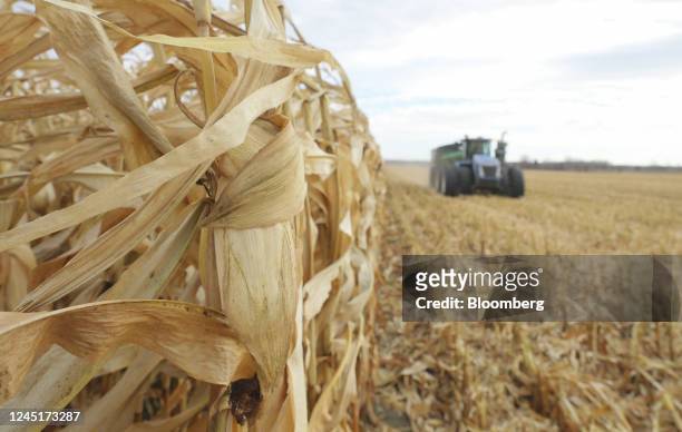 Buggy hauls grain corn harvested in a field in Chesterville, Ontario, Canada, on Thursday, Nov. 10, 2022. Canadian crop production forecasts are...