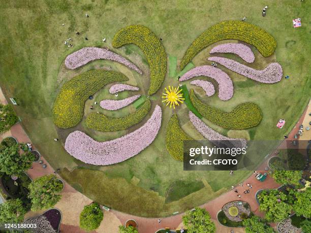 Aerial photo shows a huge chrysanthemum pattern landscape in Nanning, Guangxi Zhuang autonomous region, China, Nov 27, 2022. The 7th Qingxiu Mountain...