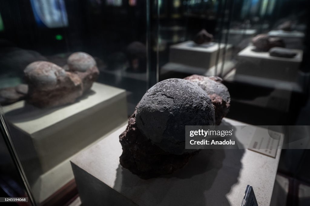 Heyuan Dinosaur Museum in China