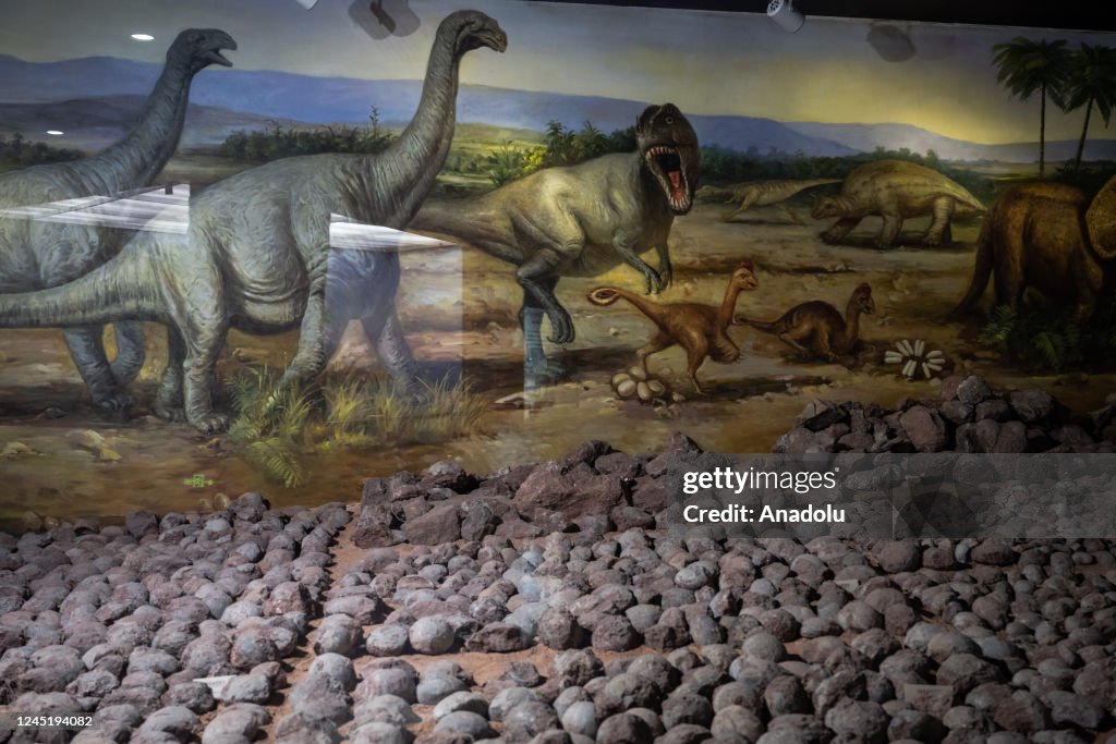 Heyuan Dinosaur Museum in China