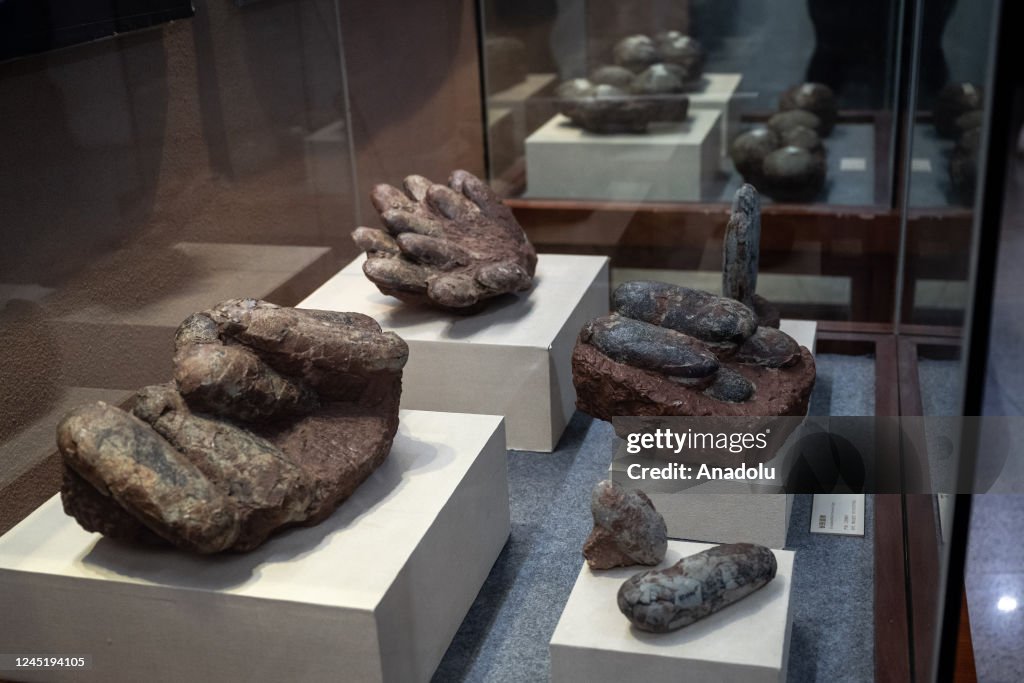 Heyuan Dinosaur Museum in China