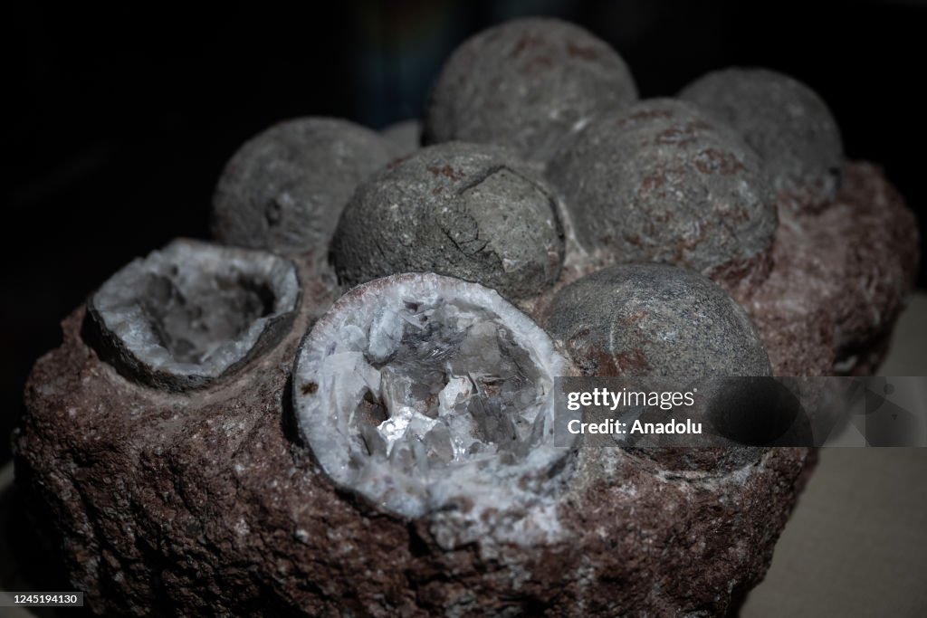 Heyuan Dinosaur Museum in China