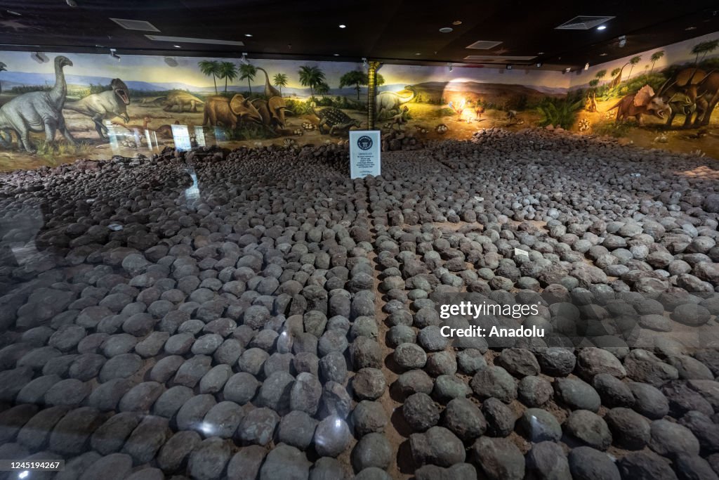 Heyuan Dinosaur Museum in China