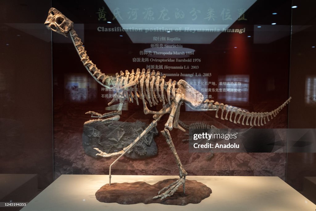 Heyuan Dinosaur Museum in China
