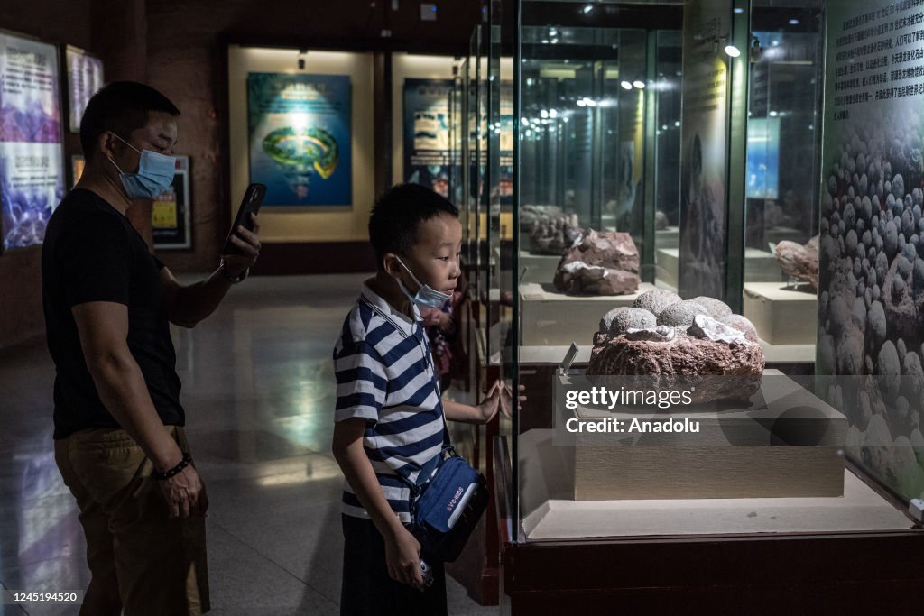Heyuan Dinosaur Museum in China
