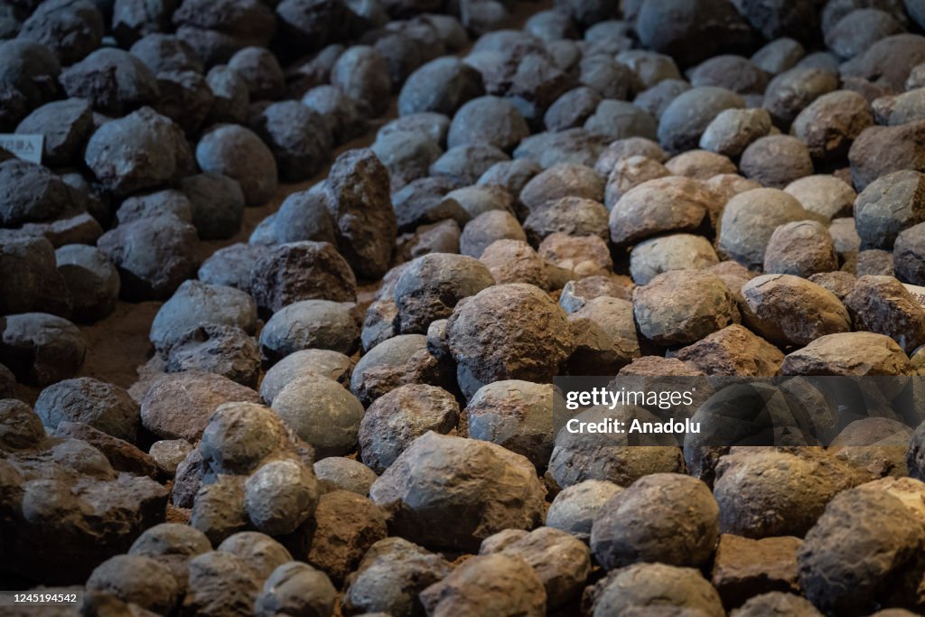 Heyuan Dinosaur Museum in China