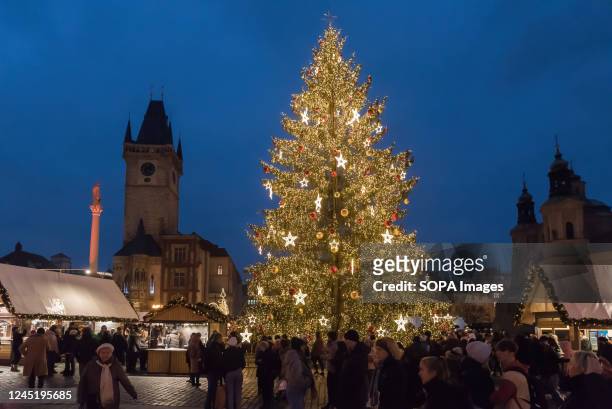 An illuminated Christmas tree is seen at the traditional Christmas market at Old town Square in Prague.