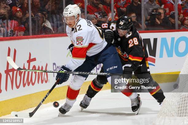 Elias Lindholm of the Calgary Flames battles for the puck against Gustav Forsling of the Florida Panthers at Scotiabank Saddledome on November 29,...