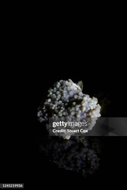 Botryoidal Form Image 26 Botryoidal Stock Photos, High-Res Pictures, and Images - Getty Images