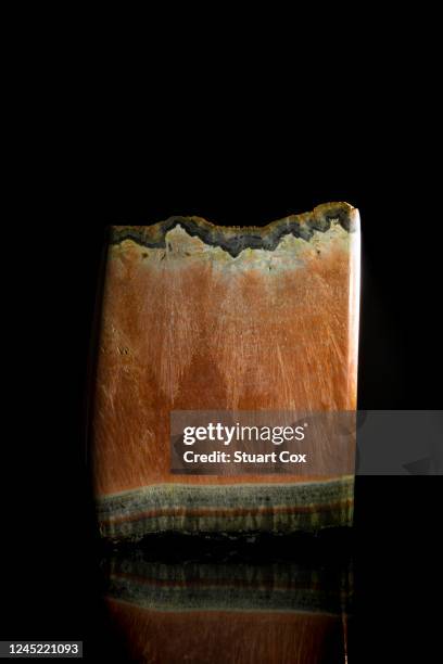 slice of semi-polished celestobarite from the yate quarry in somerset, uk. celestrobarite is a strontium-bearing variety of baryte and has an attracive orange colour. it's a soft rock with a score of 3 - 3.5 on the mohs hardness scale. - barite stock pictures, royalty-free photos & images