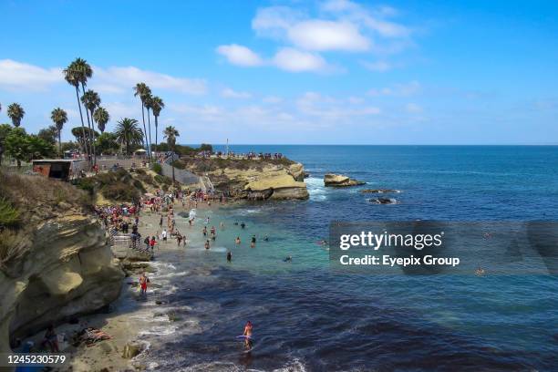 Tourists who visit La Jolla beach get too close to take photos with the Sea Lions, make the animals uncomfortable and put their habitat and...