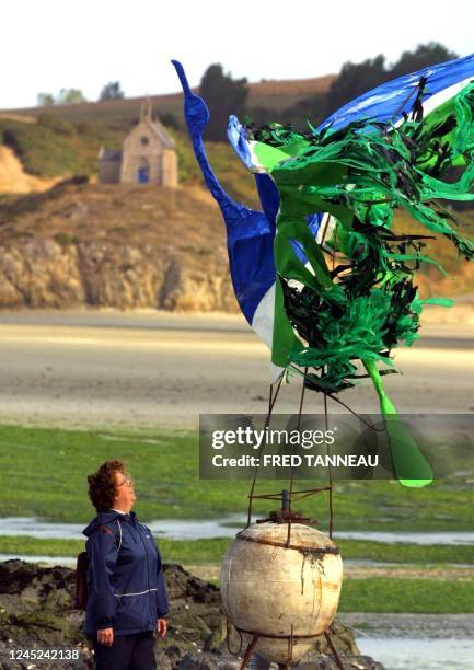 Une femme regarde une sculpture représentant un cormoran englué dans les algues vertes, le 16 septembre 2001 sur la plage de la Granville à Hillion...