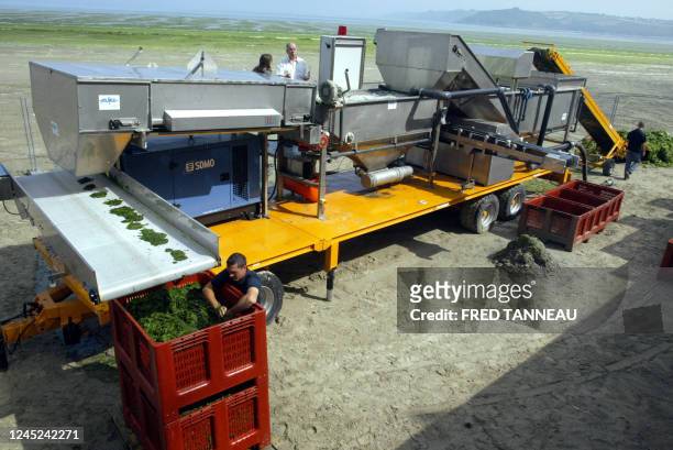 Les crèmes solaires, une solution pour se débarrasser des algues vertes" - Photo prise le 05 juillet 2006 à Plestin-Les-Grêves d'une "machine à laver...