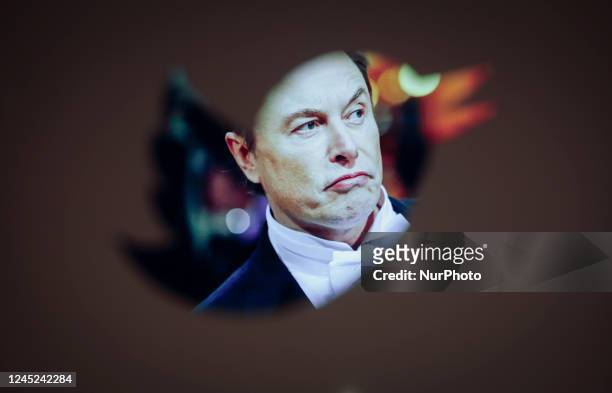 Elon Musk and a Twitter logo are seen in this illustration photo in Warsaw, Poland on 30 November, 2022. The revamped Blue Twitter subscription might...