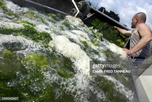 Une personne travaille sur un cycle de lavage d'algues vertes afin de les débarasser de leur sable grâce à une "machine à laver les algues" composée...