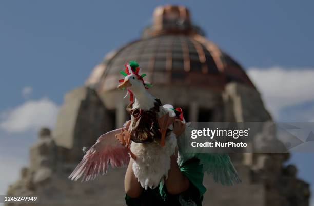 Girl carries a duck dressed in the colours of the Mexican flag during the FIFA Fan Fest Mexico on the esplanade of the Monument to the Revolution in...