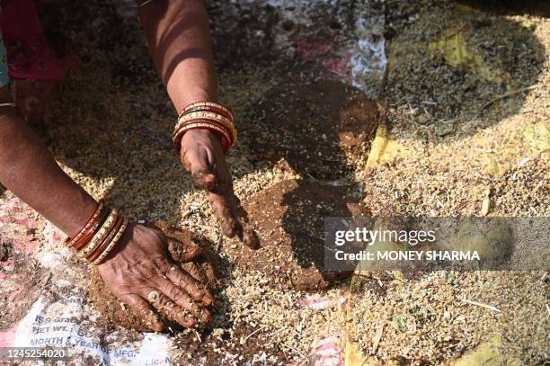 In this photograph taken on November 15 Sita Devi, a member of the Bishnoi community, makes cow dung cakes to be used as a fuel for cooking in...
