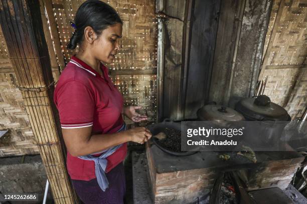 Woman processes civet coffee beans in Bali, Indonesia on November 12, 2022. Kopi luwak, also called civet coffee, is a type of coffee sourced from...