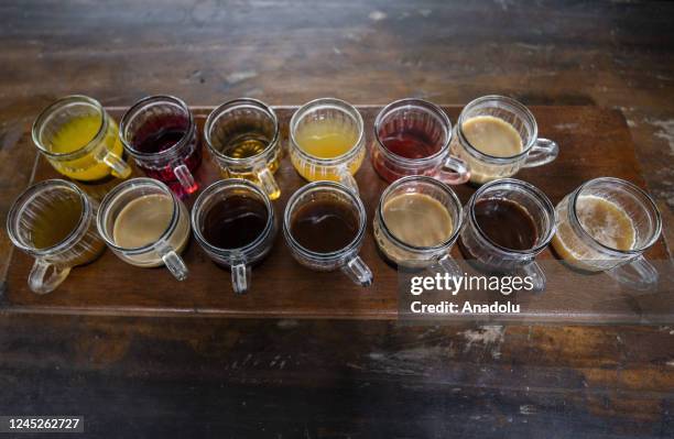 Types of civet coffee in cups are seen in Bali, Indonesia on November 12, 2022. Kopi luwak, also called civet coffee, is a type of coffee sourced...