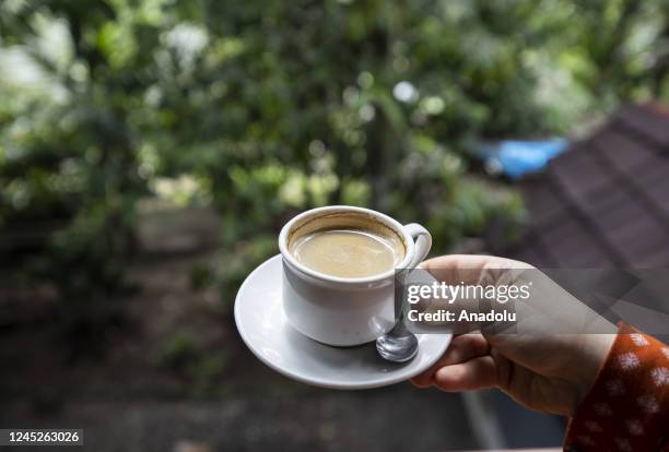 Woman holds a cup of civet coffee in Bali, Indonesia on November 12, 2022. Kopi luwak, also called civet coffee, is a type of coffee sourced from the...