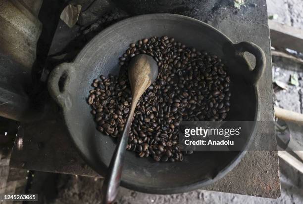 Processing of civet coffee beans is seen in Bali, Indonesia on November 12, 2022. Kopi luwak, also called civet coffee, is a type of coffee sourced...