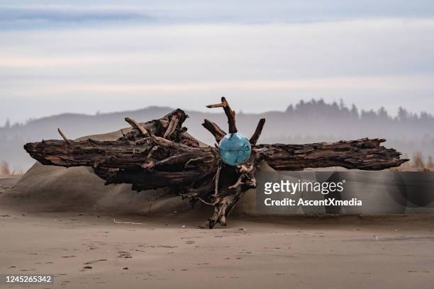 scenic view of crystal sphere on beach - driftwood stock pictures, royalty-free photos & images