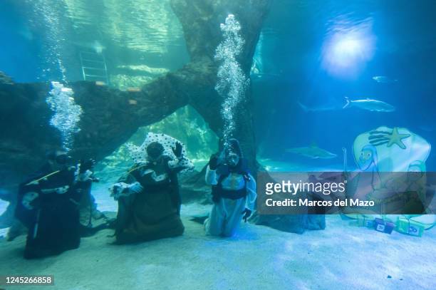 Divers dressed as the Three Wise Men are seen underwater after placing the traditional Christmas Nativity Scene inside the shark tank of the aquarium...