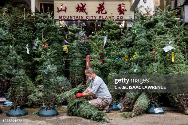 Man prepares Christmas trees for sale at the flower markets in Hong Kong on December 2, 2022.