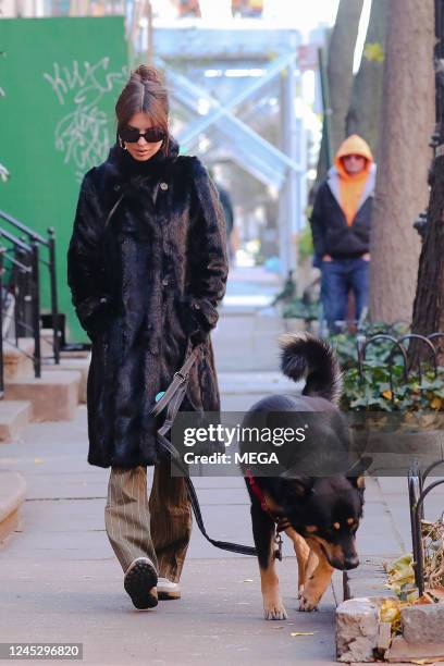 Emily Ratajkowski wears a black fur coat while taking her dog Colombo for a walk on December 01, 2022 in New York City, United States.