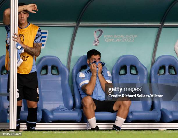 Luis Suarez of Uruguay on the bench after substitution during the FIFA World Cup Qatar 2022 Group H match between Ghana and Uruguay at Al Janoub...