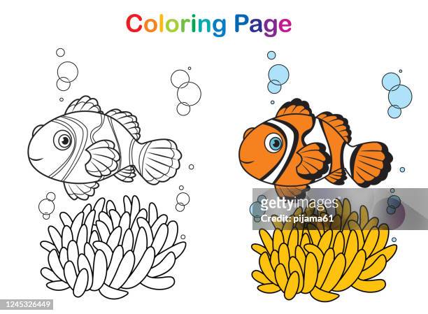 illustrazioni stock, clip art, cartoni animati e icone di tendenza di libro da colorare, pesce pagliaccio - pesce pagliaccio di clark