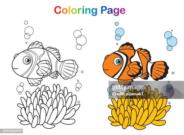 360点のクマノミイラスト素材 Getty Images 360点のクマノミイラスト素材 Getty Images