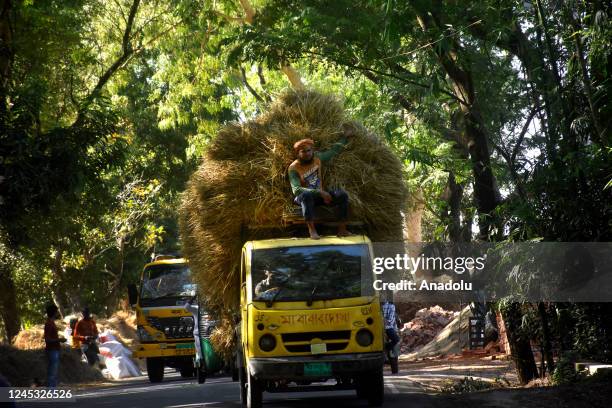 Rangunia Photos and Premium High Res Pictures - Getty Images