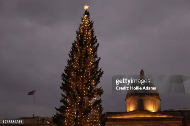 The Christmas tree at Trafalgar Square on December 3, 2022 in London, England. The tree is an annual gift from Norway and a token of gratitude for...