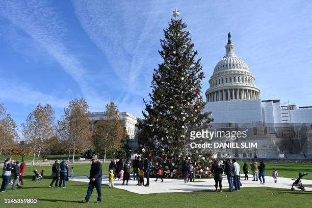 Visitors look at the US Capitol Christmas tree, a Red Spruce from Pisgah Ranger National Forest in North Carolina, on Capitol Hill in Washington, DC,...