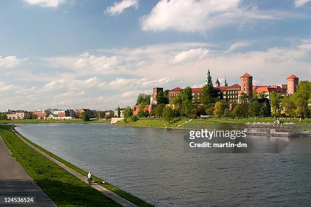 wawel castle - wawel cathedral stock pictures, royalty-free photos & images
