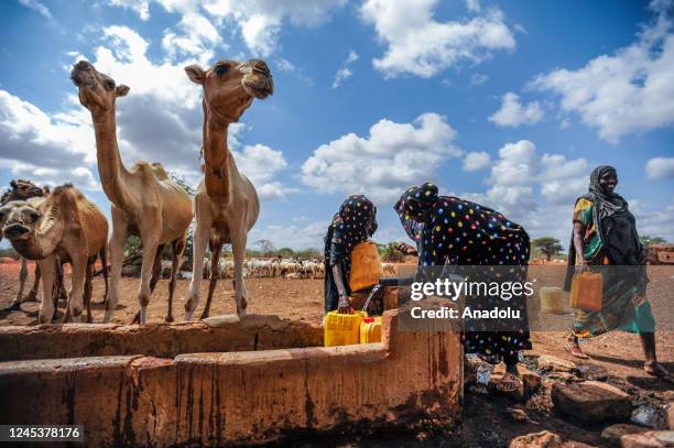Mandera Mandera Triangle Photos and Premium High Res Pictures - Getty Images
